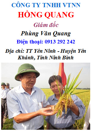 Cong ty TNHH VTNN Hong Quang